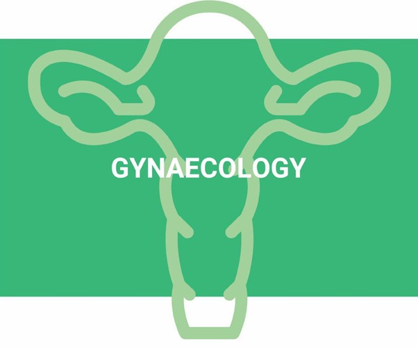 Gynaecology Set