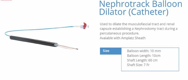 Nephrotrack Balloon Dilator