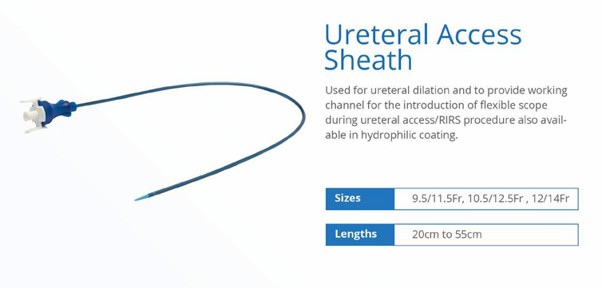 Ureteral Access Sheath