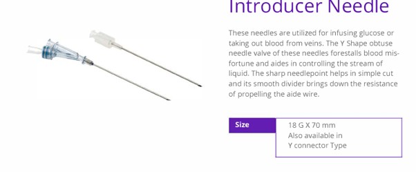 Introducer Needle (alt)