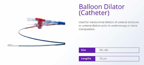 Balloon Dilator (Catheter)