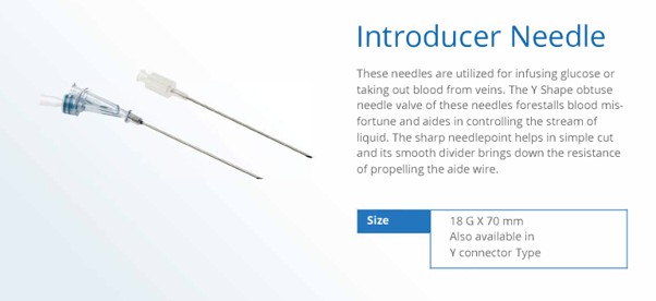 Introducer Needle