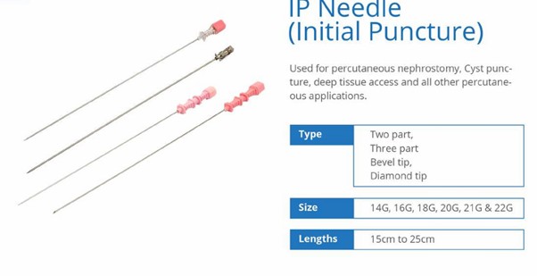 IP Needle